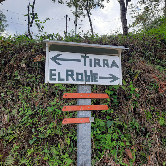 La Fin Du Chemin À Pueblo Nuevo (Calle Tirrà)