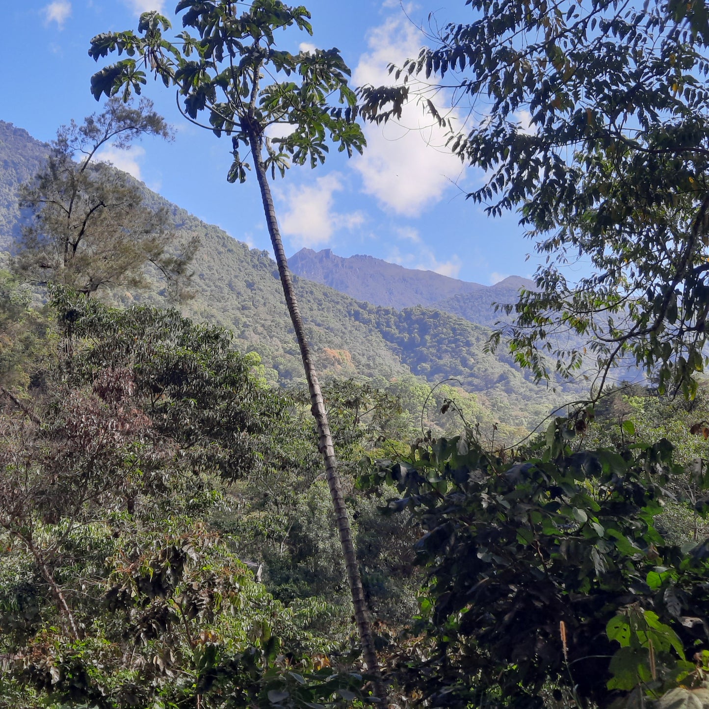 Parc National Du Cerro Chirripo (Parque Nacional Chirripo)