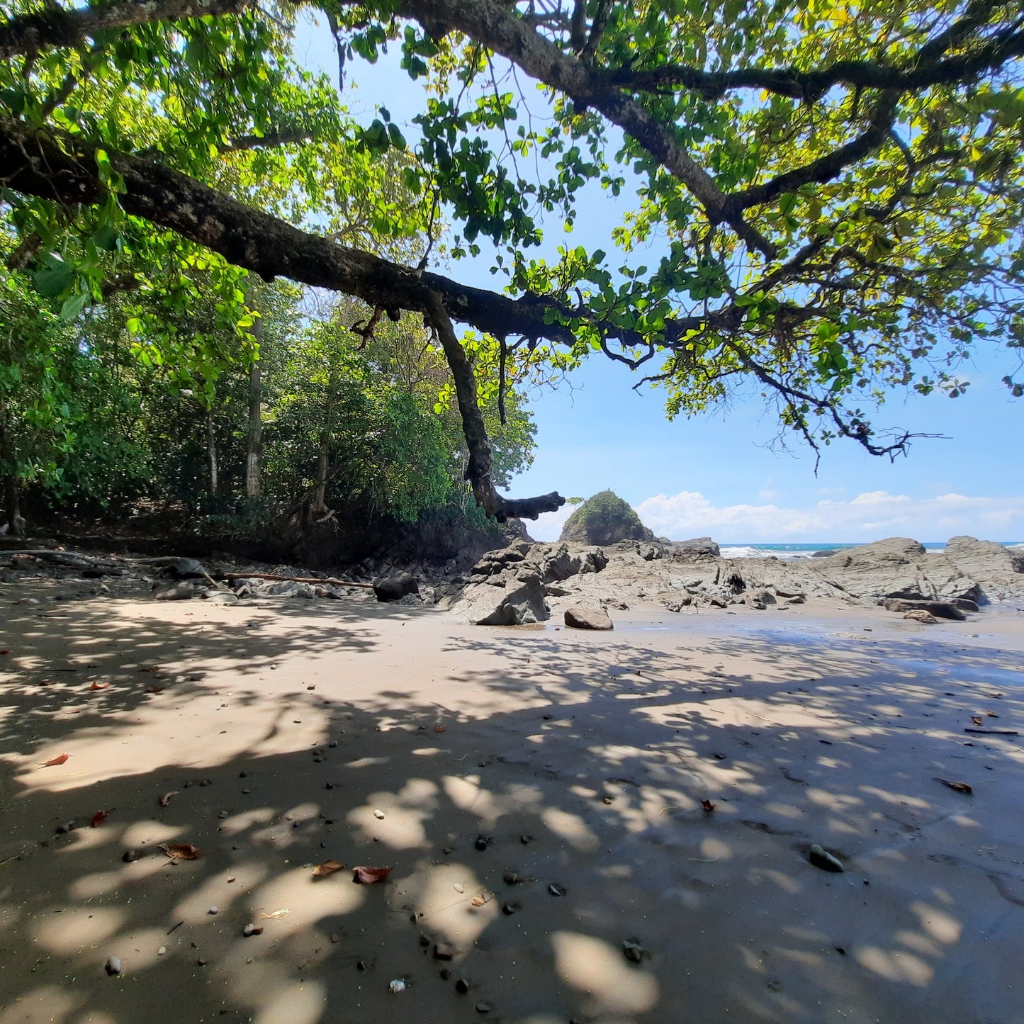 2023-01-28 Lait Chaud Crème Sûre Et Plage