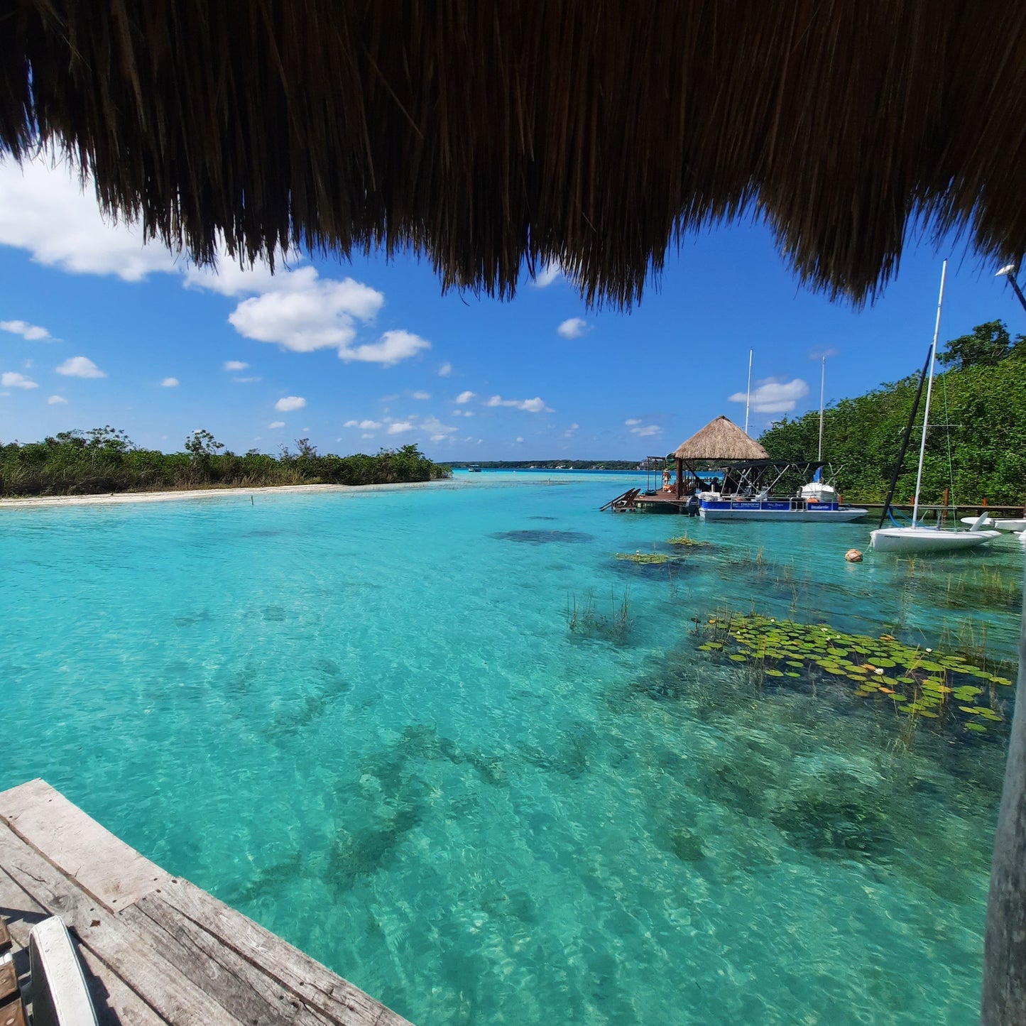 Bacalar Lagoon