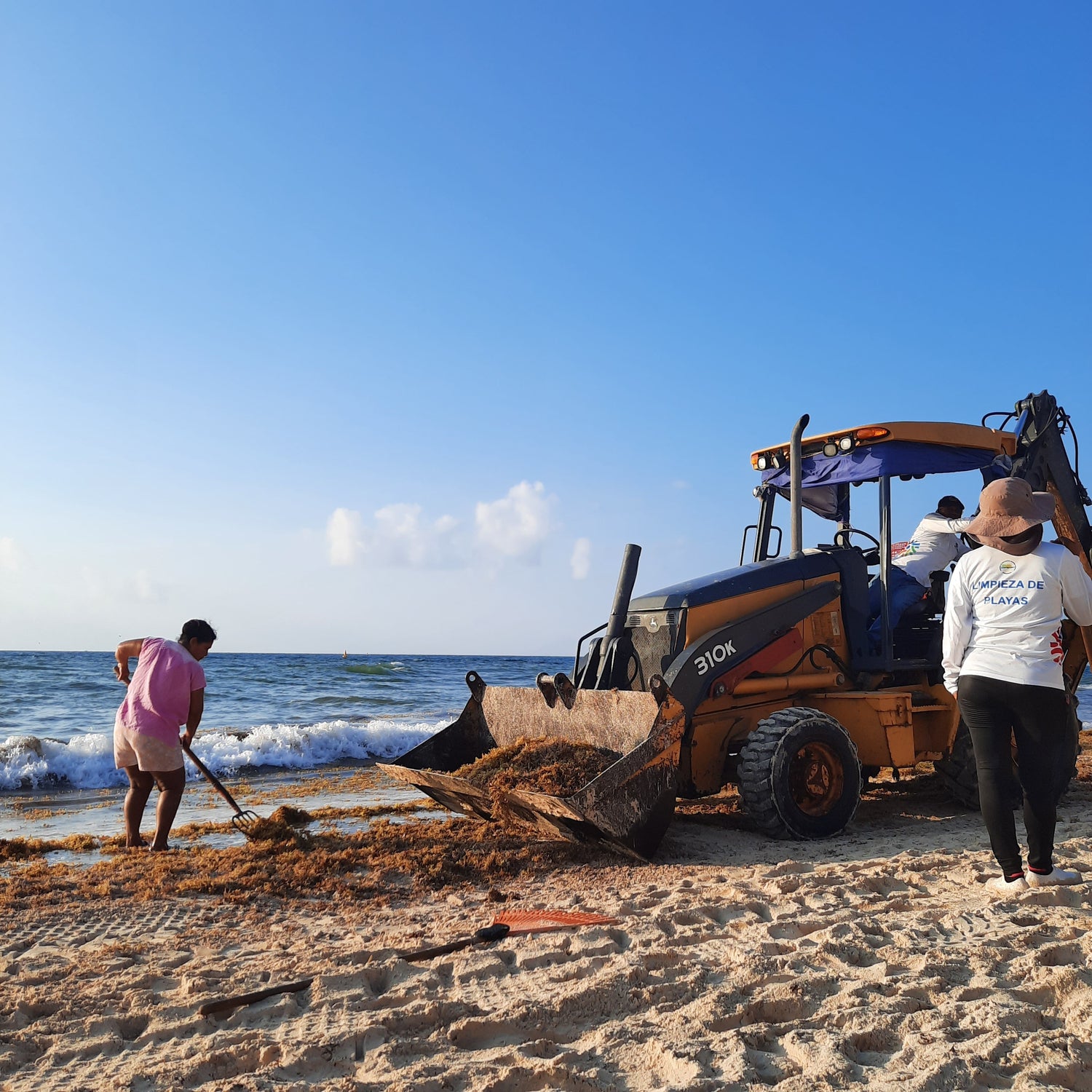 Nettoyage Des Plages (Playa Del Carmen)