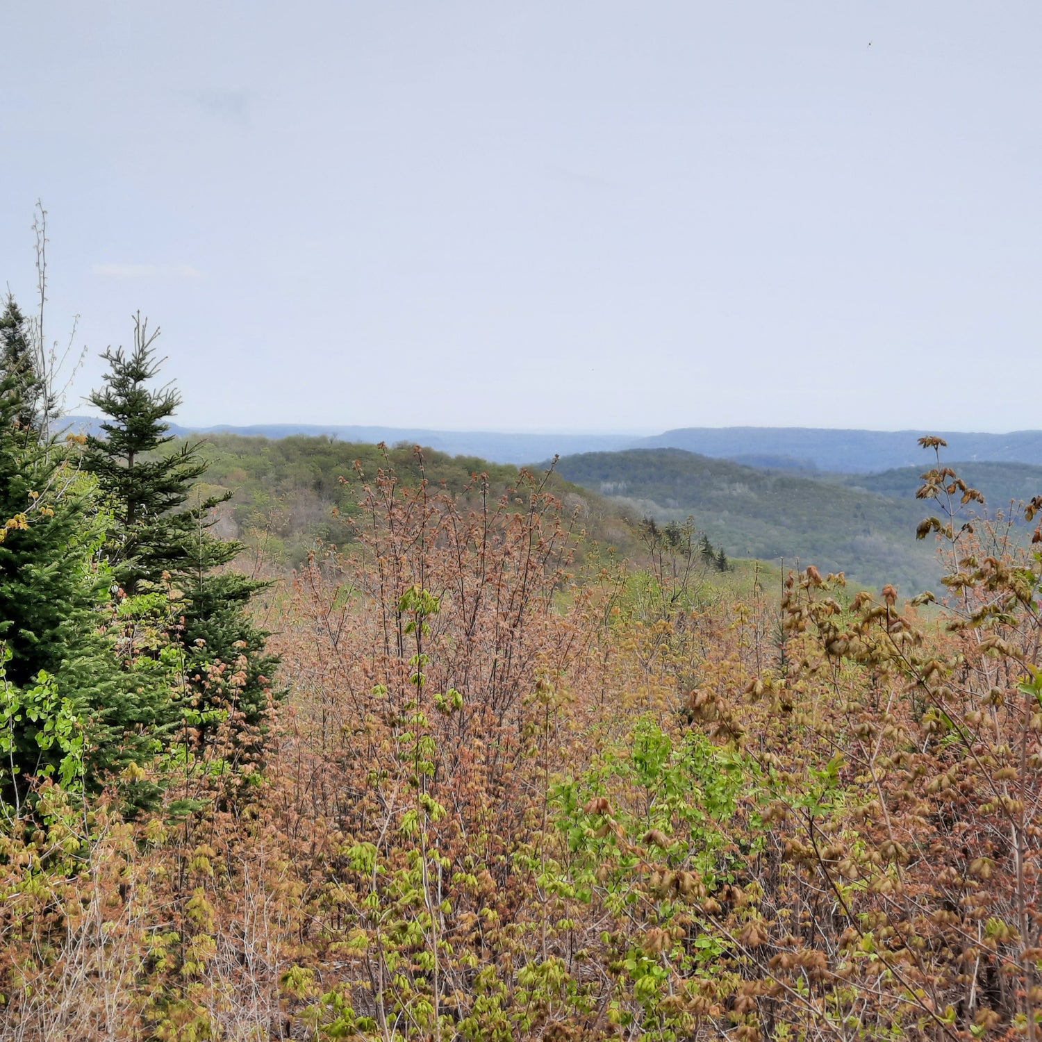 Mont Loup-Garou