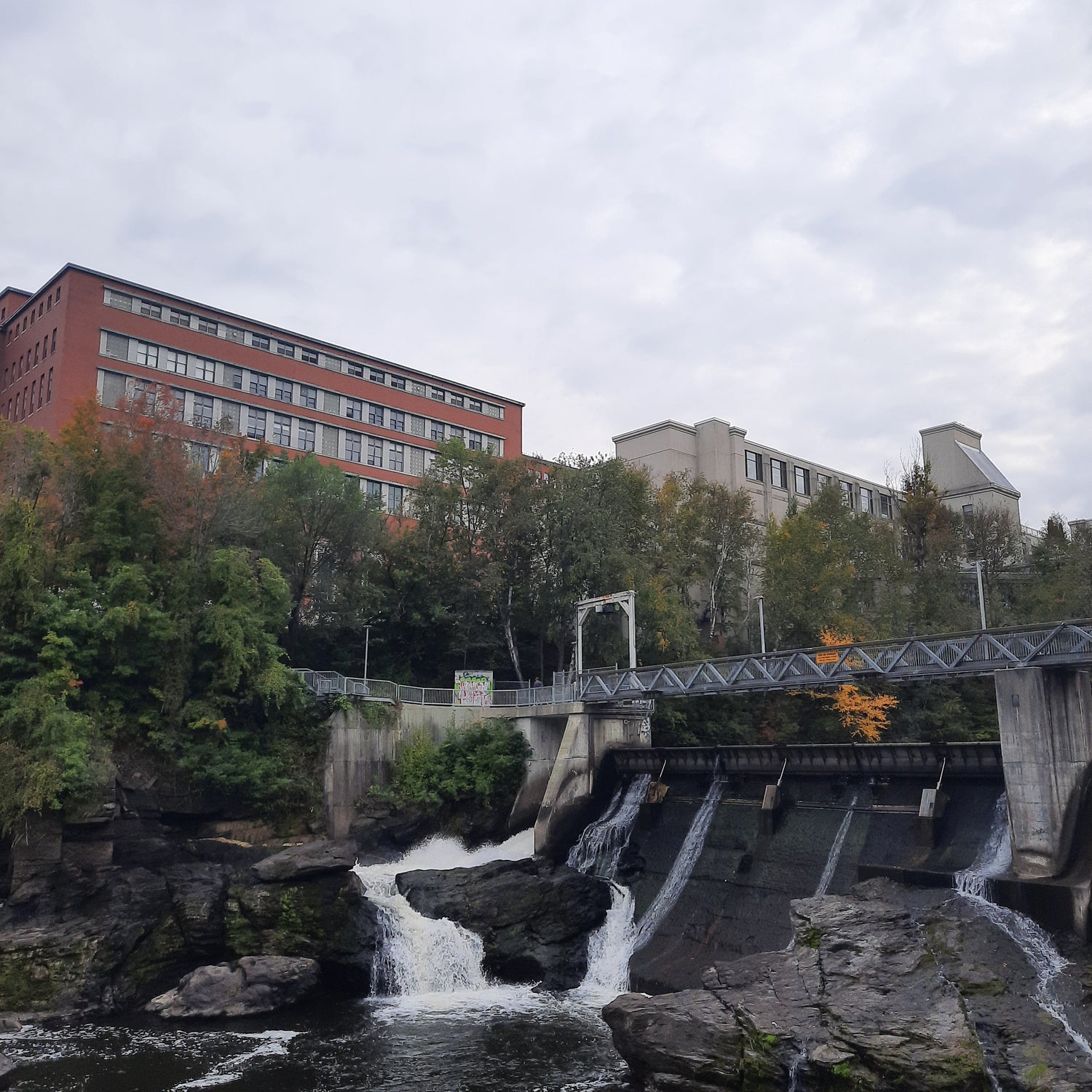 Le Séminaire De Sherbrooke (Vue Arrière)