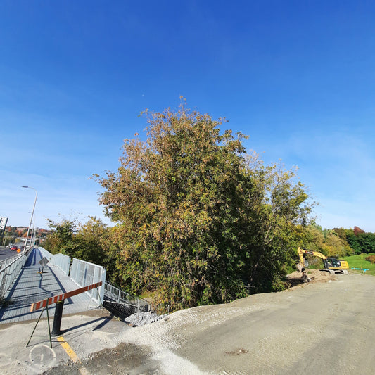 Travaux Pour Le Lien Cyclable Pont Joffre