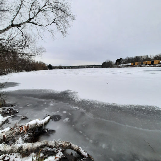 2024-01-06 Le Début De La Glace Sur Rivière Magog (Vue 1)