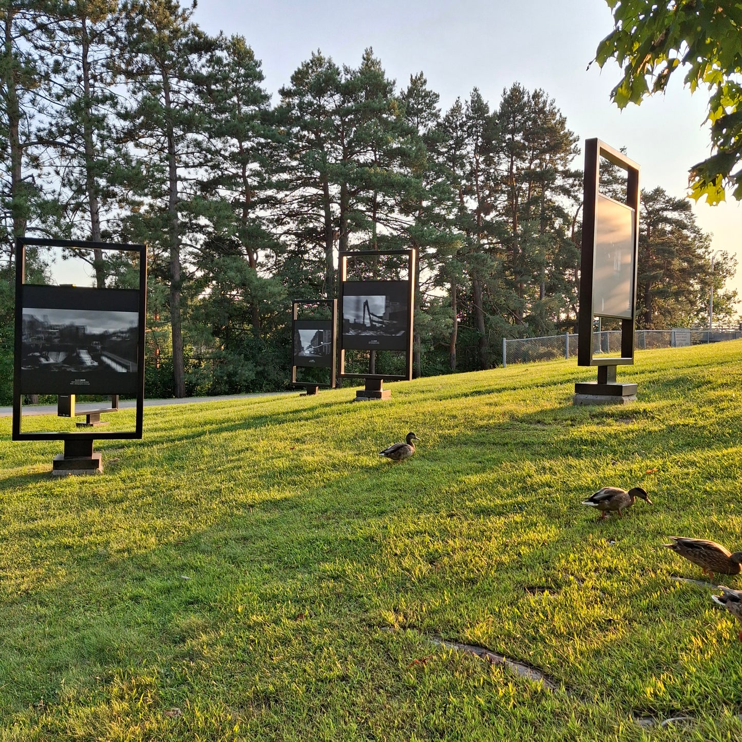 Annick Sauvé - Ville en mouvement (Photographe) (Exposition)