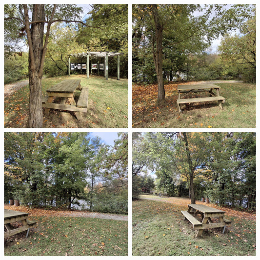 2024-10-05 Aire de repos (Vue Table 2)