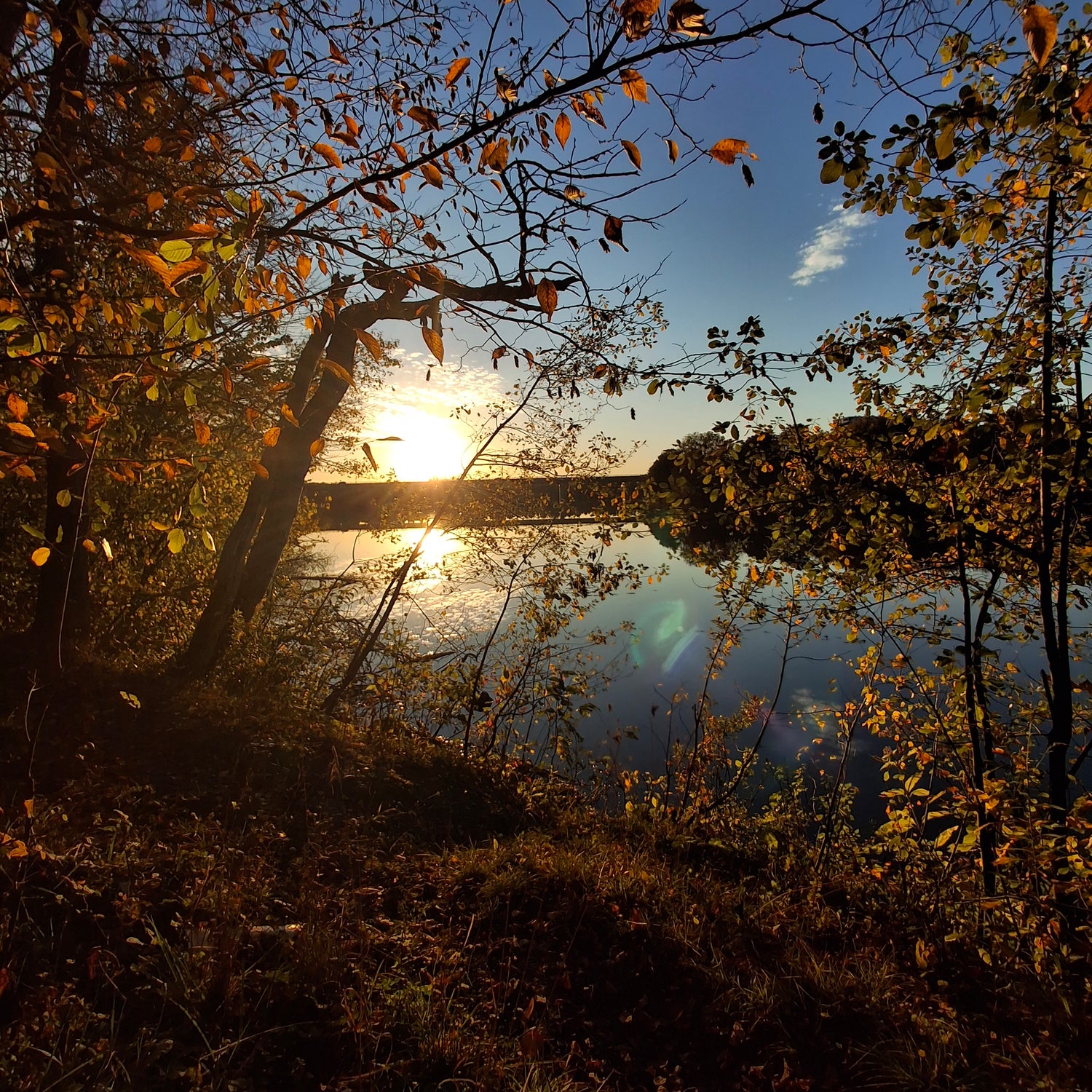 Learn more about (View 0)