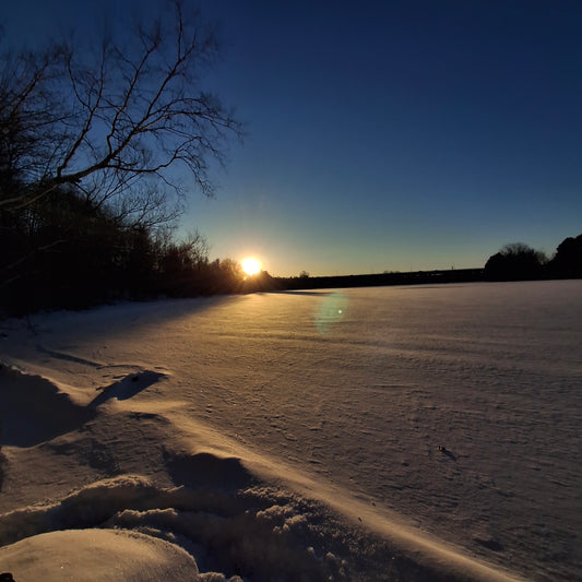 2025-12-08 15:32 Le soleil ☀️ magnifique (Vue 1)
