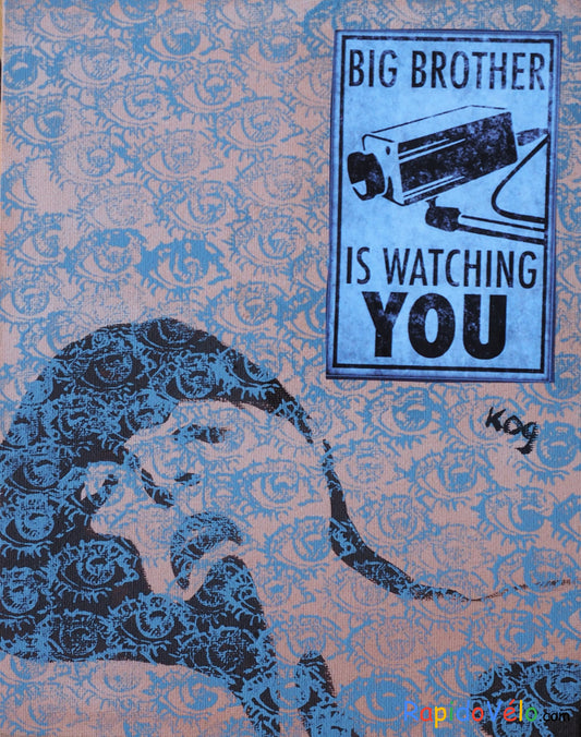 Big Brother Is Watching You Toile