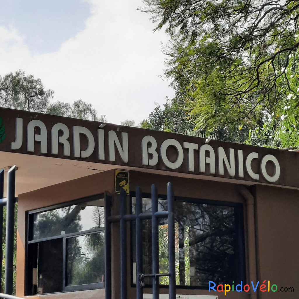 Jardin Botanique (5 Photos)