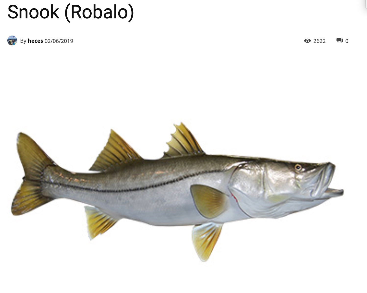 Robalo