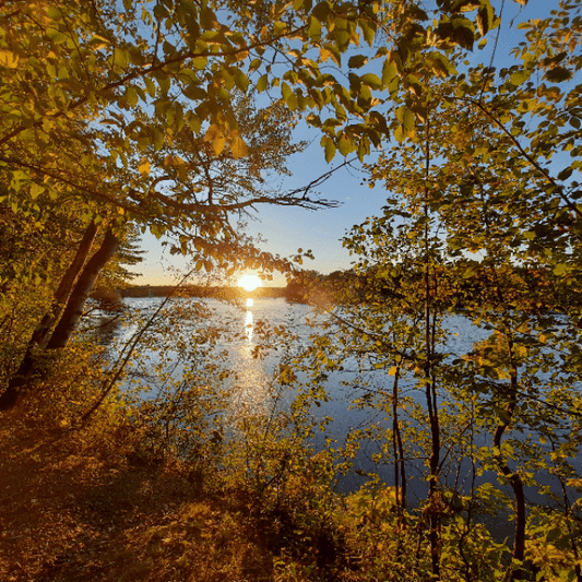 2022-09-23 Puesta de sol (Ver 0) (animación)